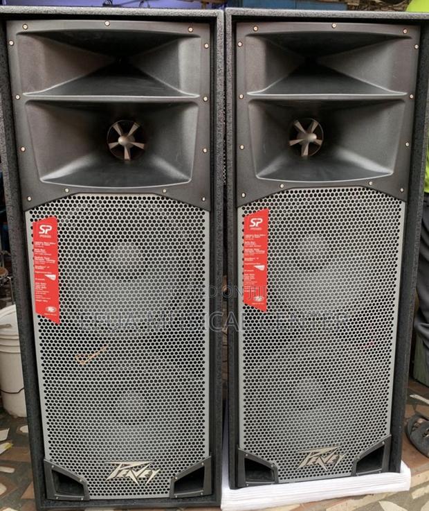 Peavey (Spider)Full Range Speakers (Pair) · Photo 1