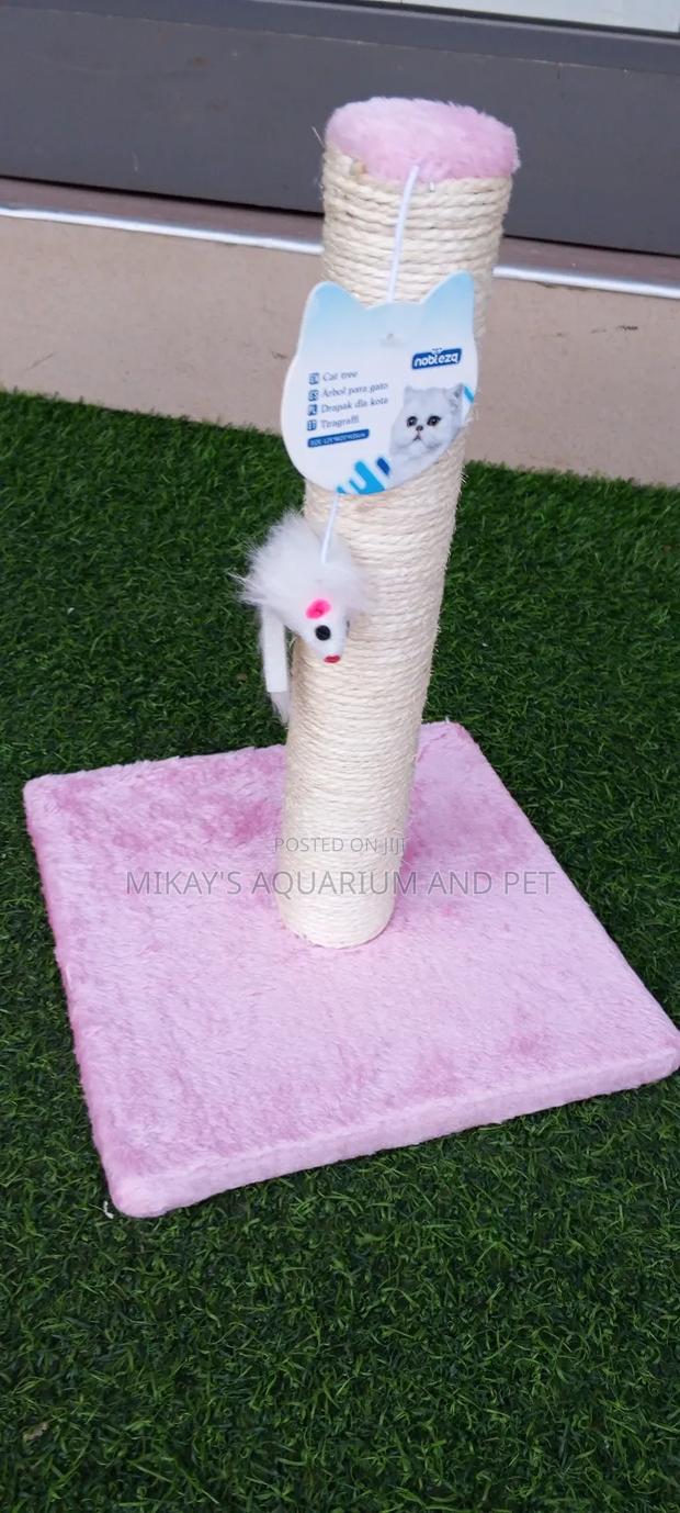 Long Scratching Post For Cat With Play Toy · Photo 1