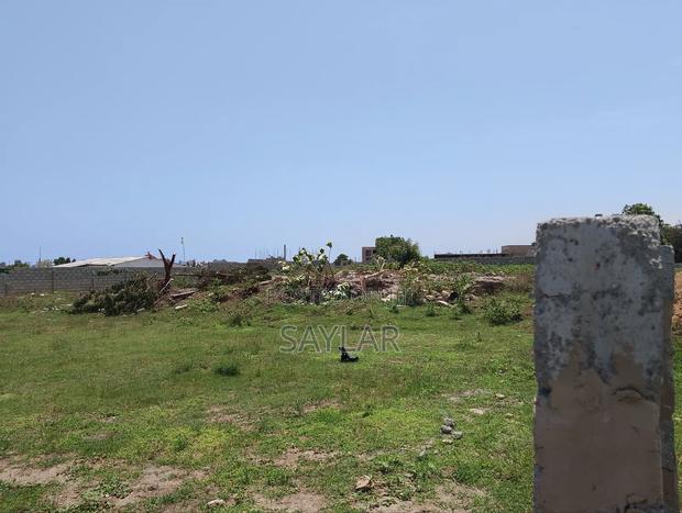Full Plot For Sale Klagon Behind Comm12 · Photo 4