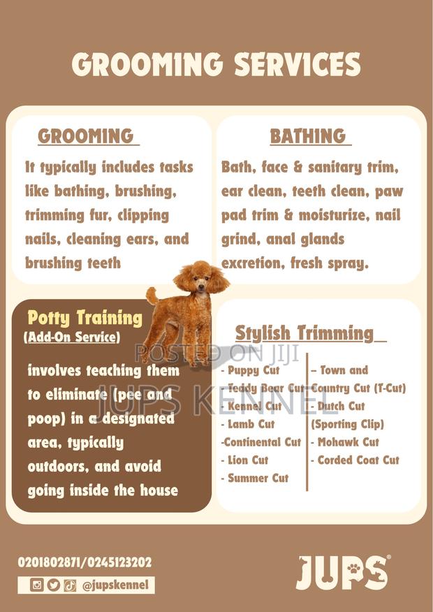 Grooming Services (Shaving Bathing) · Photo 1