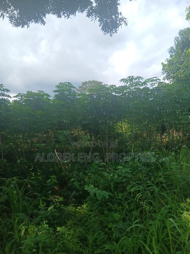 Land for Sale at Dodowa Ayikuma · Photo 3