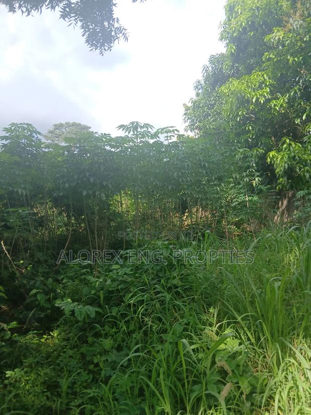 Land for Sale at Dodowa Ayikuma · Photo 4