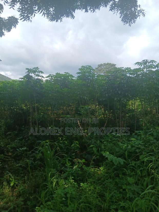 Land for Sale at Dodowa Ayikuma · Photo 5