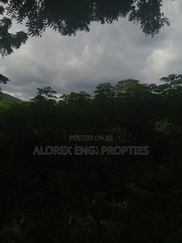 Land for Sale at Dodowa Ayikuma · Photo 7