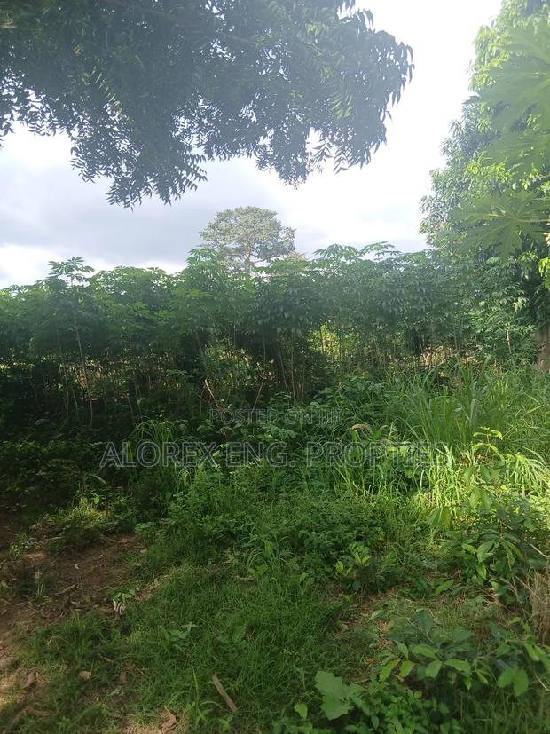Land for Sale at Dodowa Ayikuma · Photo 8