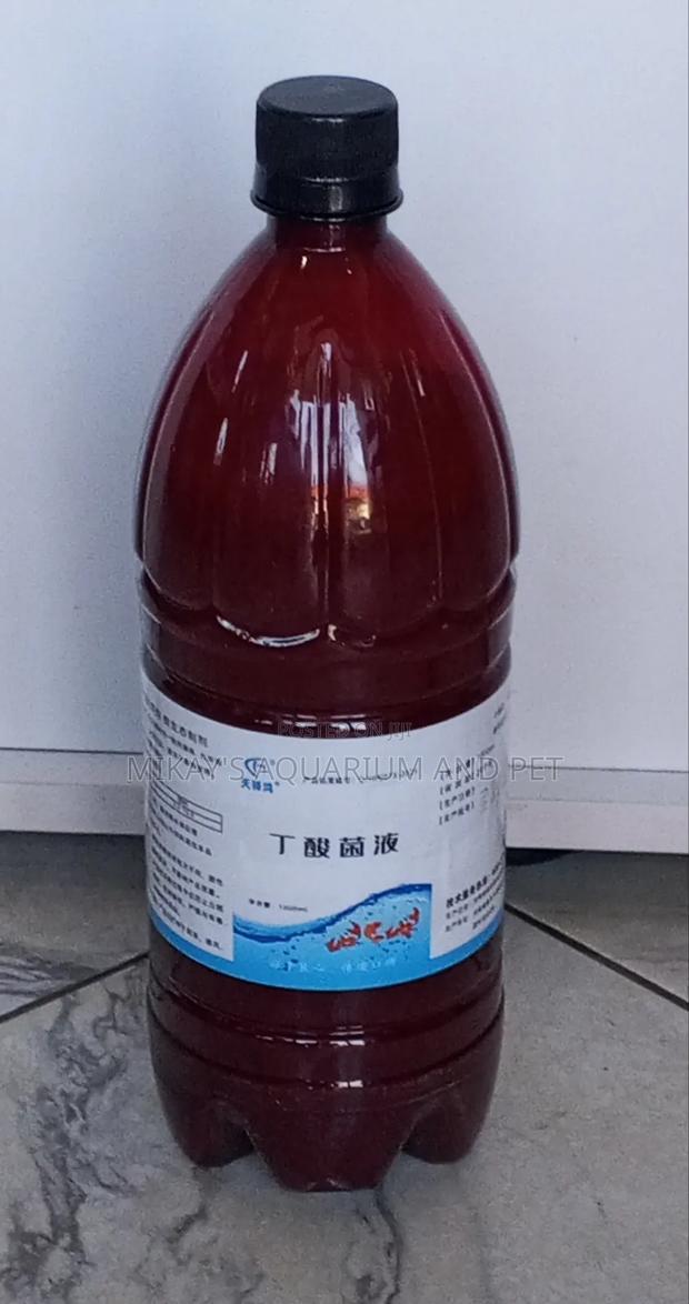 Probiotics For Aquarium Fishes · Photo 1