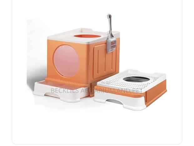 2 Colored Cat Litter Box · Photo 1