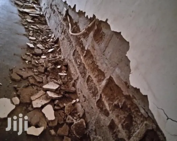 Wall Treatment Masters · Photo 1