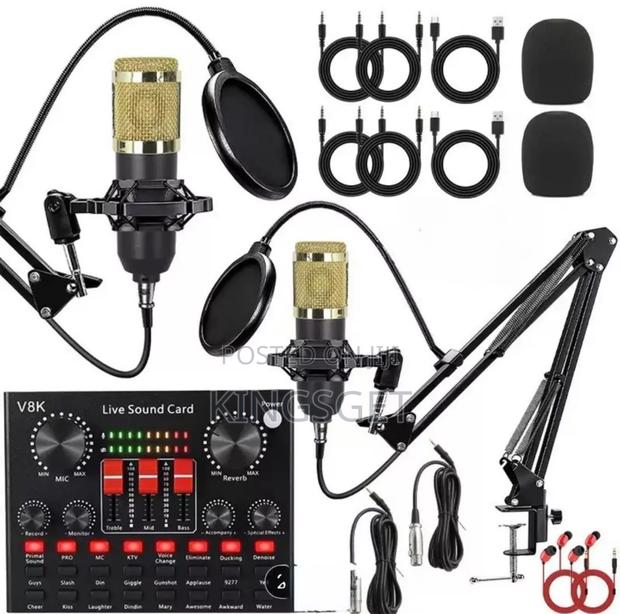 2 In 1 Double Professional Condenser Microphone · Photo 1