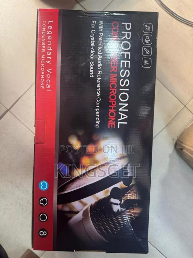2 In 1 Double Professional Condenser Microphone · Photo 2