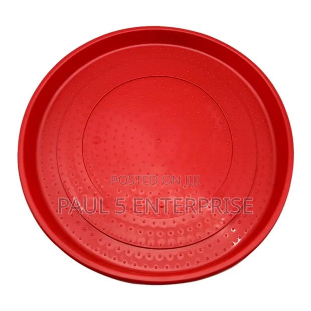 Day Old Feeding Tray Wholesale and Retail · Photo 2