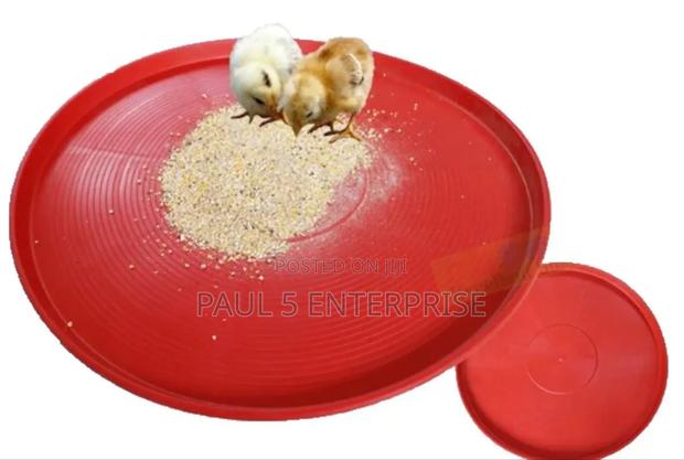 Day Old Feeding Tray Wholesale and Retail · Photo 1