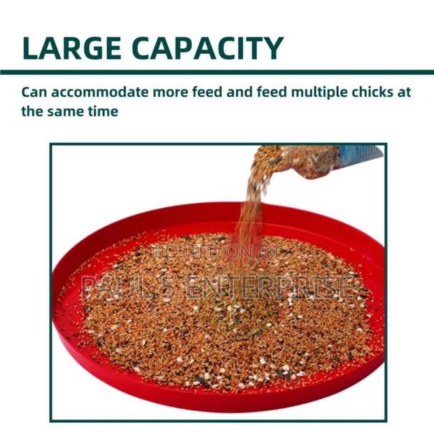 Day Old Feeding Tray Wholesale and Retail · Photo 4