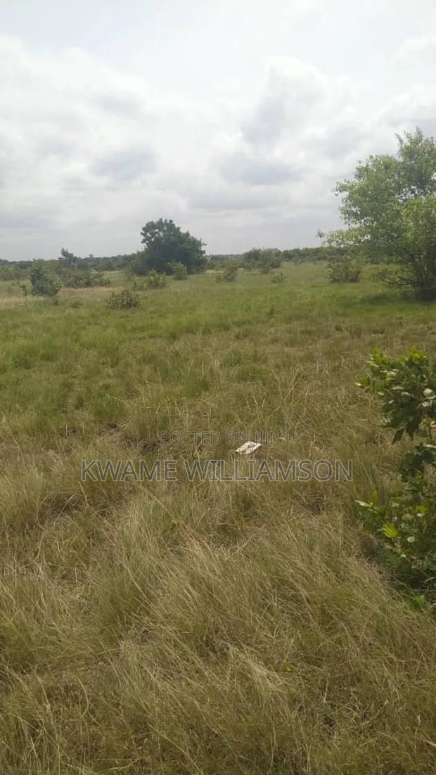 Plot of Land at Asutsuare (Mahama Junction) · Photo 2