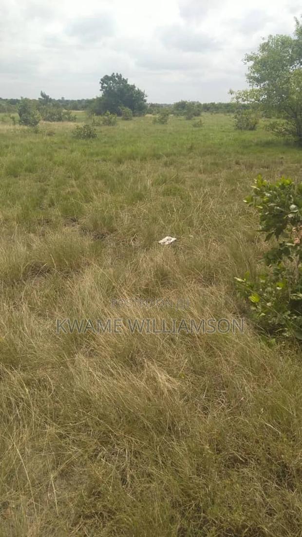 Plot of Land at Asutsuare (Mahama Junction) · Photo 4