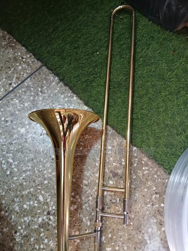 Trombone ( Gold Silver) · Photo 1