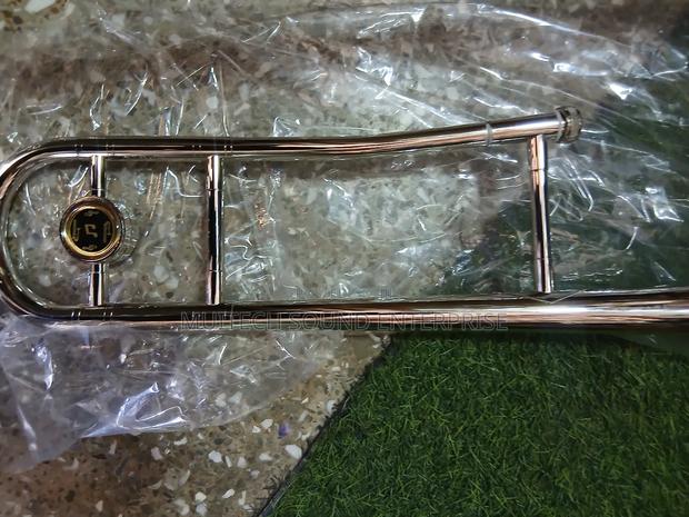 Trombone ( Gold Silver) · Photo 5