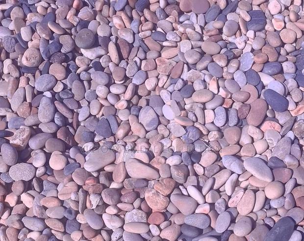 Beach Pebble Stones Shells · Photo 5