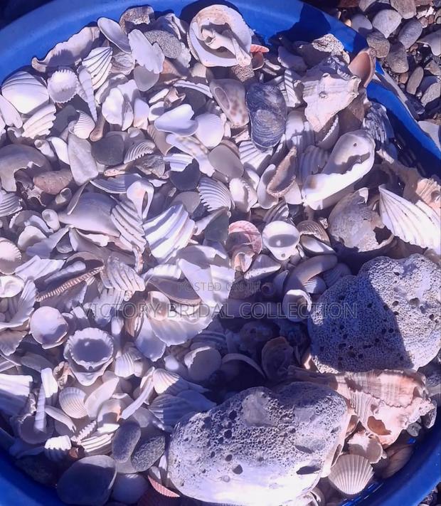 Beach Pebble Stones Shells · Photo 6