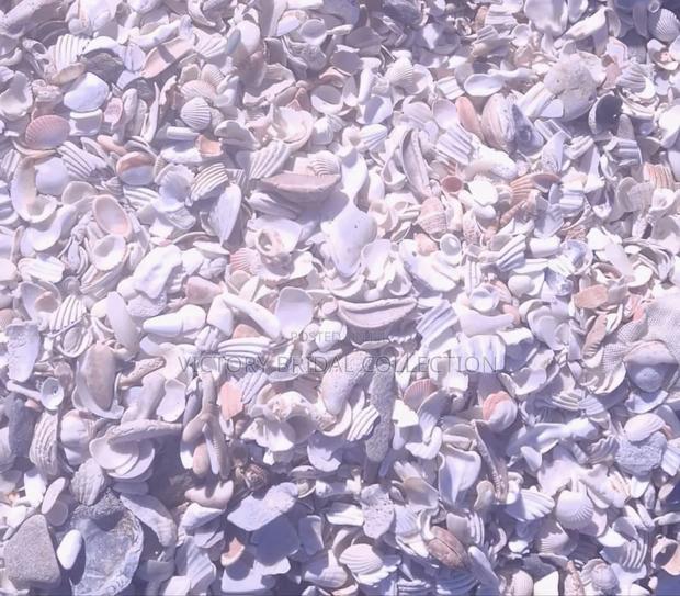 Beach Pebble Stones Shells · Photo 8