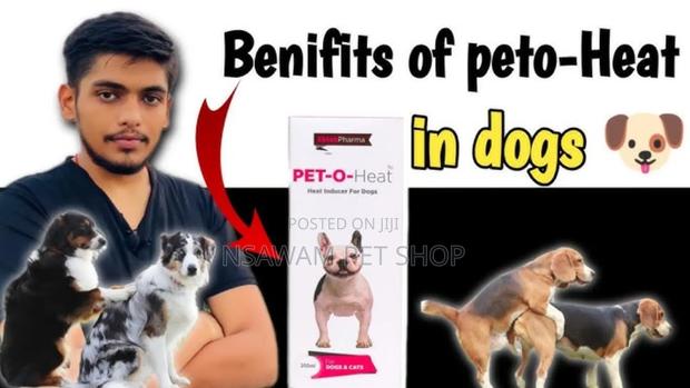 Pet O Heat · Photo 3