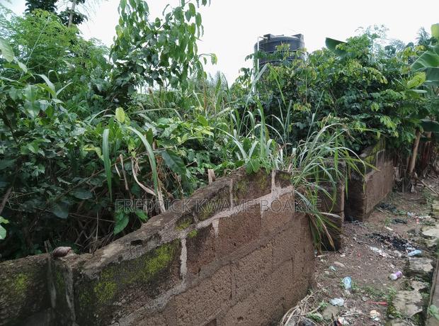 One Acre Plot of Land for Sale at Tanoso Pokukrom · Photo 4
