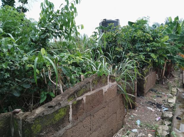 One Acre Plot of Land for Sale at Tanoso Pokukrom · Photo 5