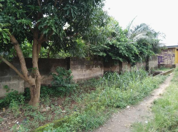 One Acre Plot of Land for Sale at Tanoso Pokukrom · Photo 6
