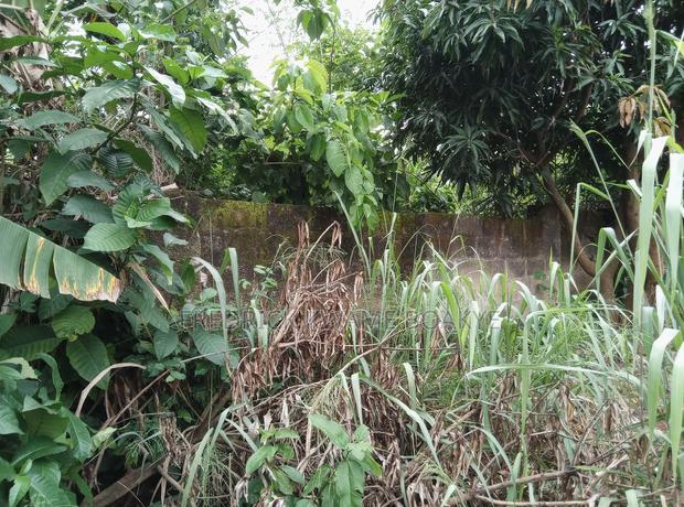 One Acre Plot of Land for Sale at Tanoso Pokukrom · Photo 7