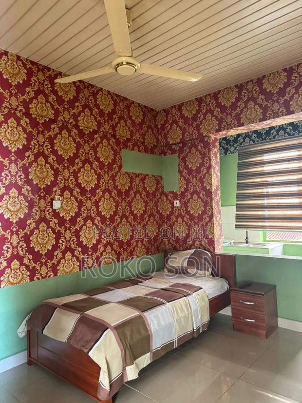 Furnished Studio Apartment in Dr Roko, Dzorwulu for rent · Photo 3