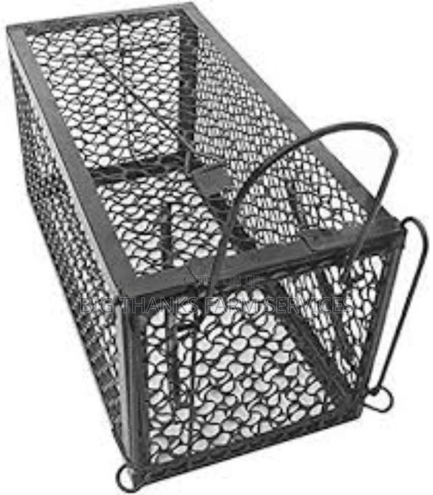 Cage Traps For Cats, Bigger Rodents · Photo 1