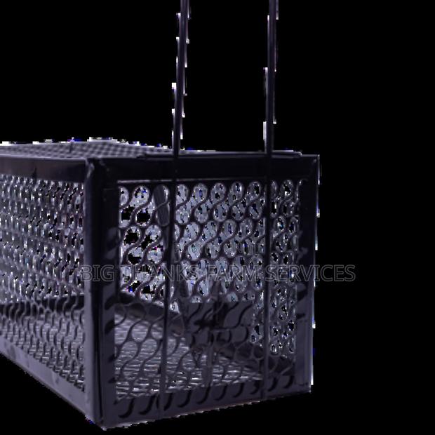Effective Cage Traps For Different Animals · Photo 2