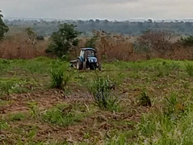 300 Acres Farm Land · Photo 2
