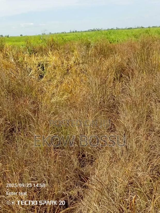 300 Acres Farm Land · Photo 3