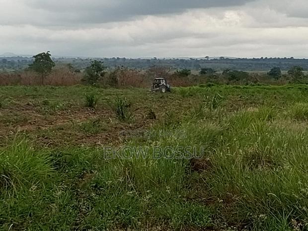 300 Acres Farm Land · Photo 4
