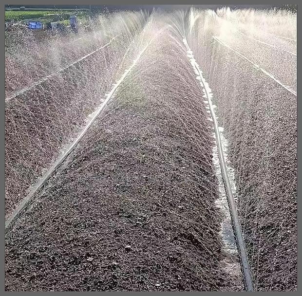 Hose Water Rain Hose 100m · Photo 1