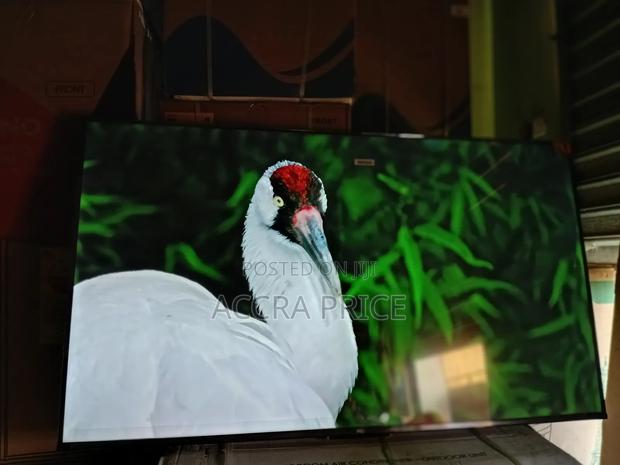 Happiness at Last Tcl55 · Photo 1