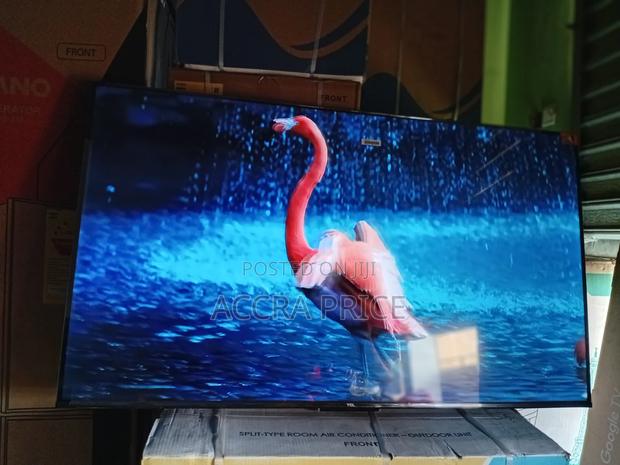 Happiness at Last Tcl55 · Photo 2
