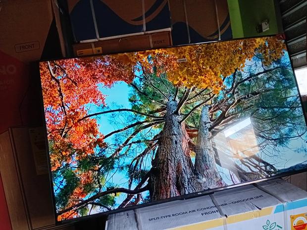 Rainbow Classic Tcl55 · Photo 1