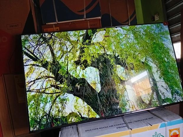 Rainbow Classic Tcl55 · Photo 2