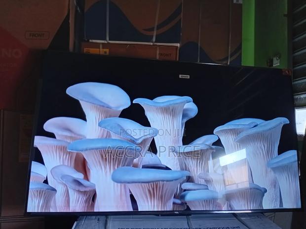 Netflix and Chill Tcl55 · Photo 1