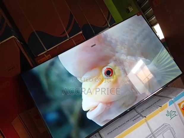 Real Aquatic View 55tcl · Photo 2