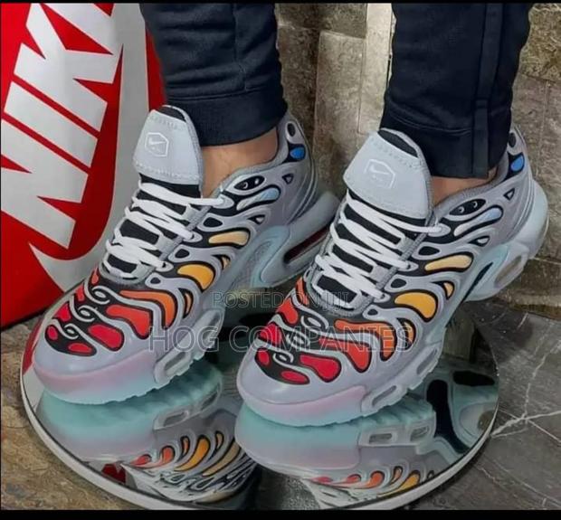 Nike Air Max Tn Plus Drift Grey Multicolor · Photo 1