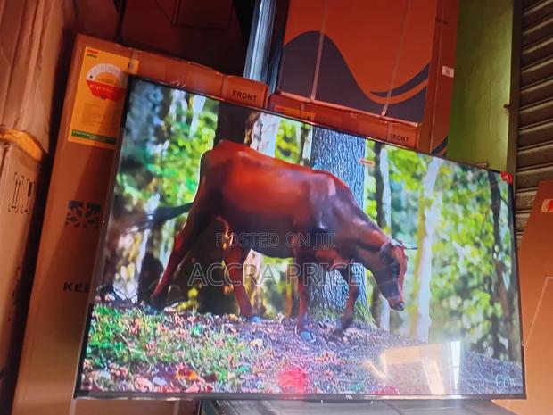 Quality With Professional Images Tcl55 · Photo 2