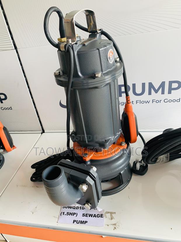 High Pressure Leo 2hp Sewage Pump · Photo 1