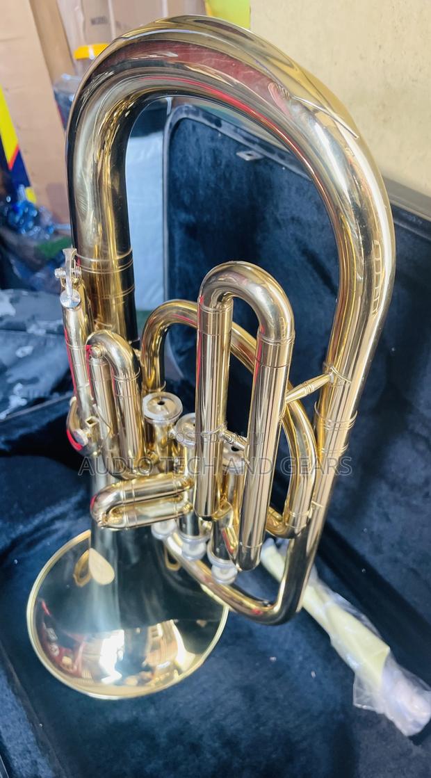 Alto Horn - Gold · Photo 3