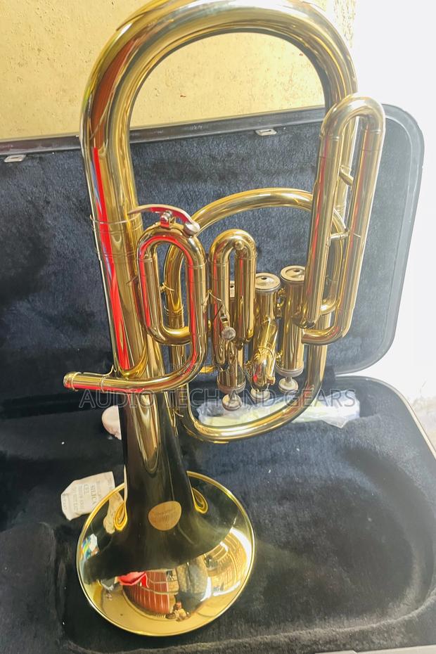 Alto Horn - Gold · Photo 1
