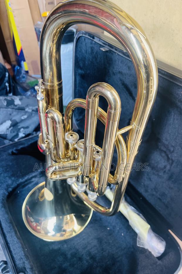 Alto Horn - Gold · Photo 4