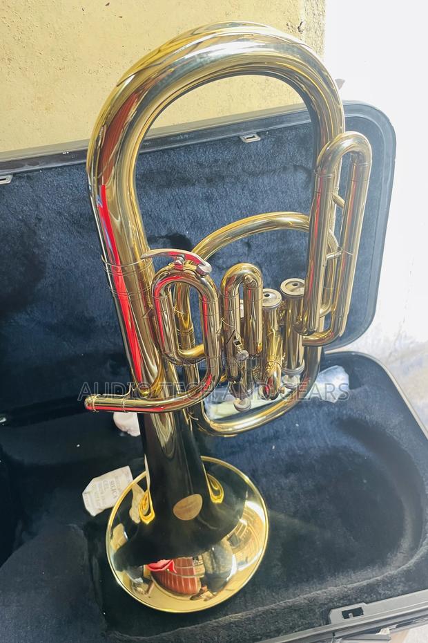 Alto Horn - Gold · Photo 5