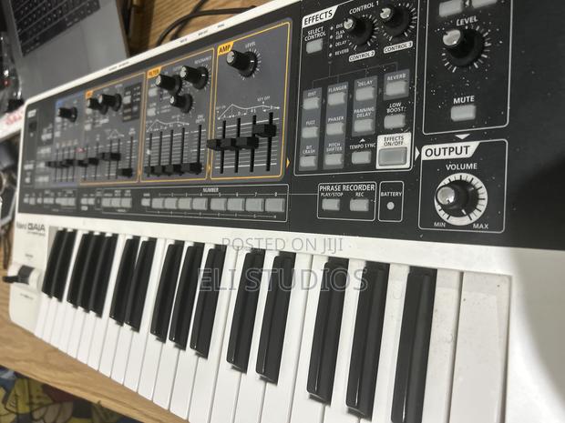 Roland Gaia Sh-01 · Photo 2